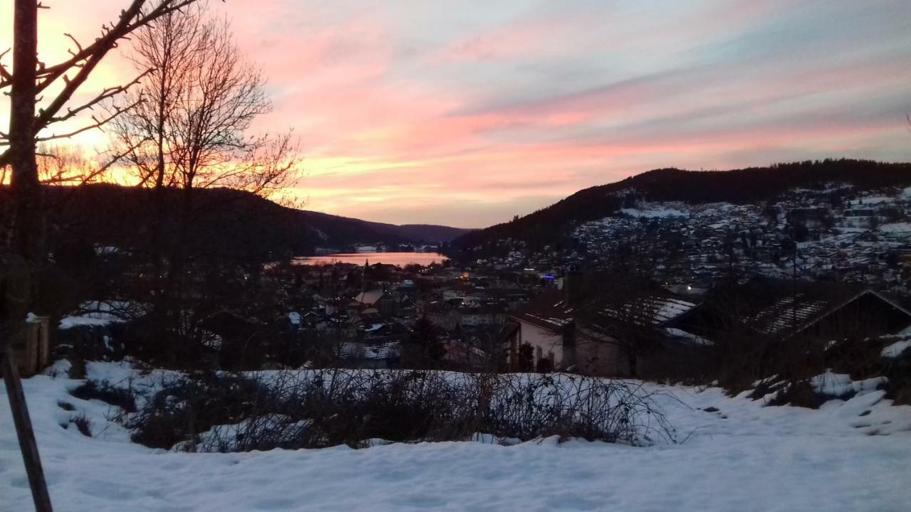Entre Montagne Et Lac Gérardmer Eksteriør bilde